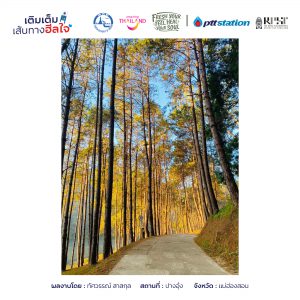 12กรุงเทพมหานคร freshyourfeel2025 29220 1746450327