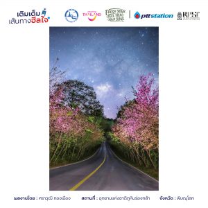 19พิษณุโลก freshyourfeel2025 27518 1746426857