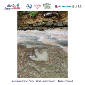 1กาฬสินธุ์ freshyourfeel2025 27590 1741547902