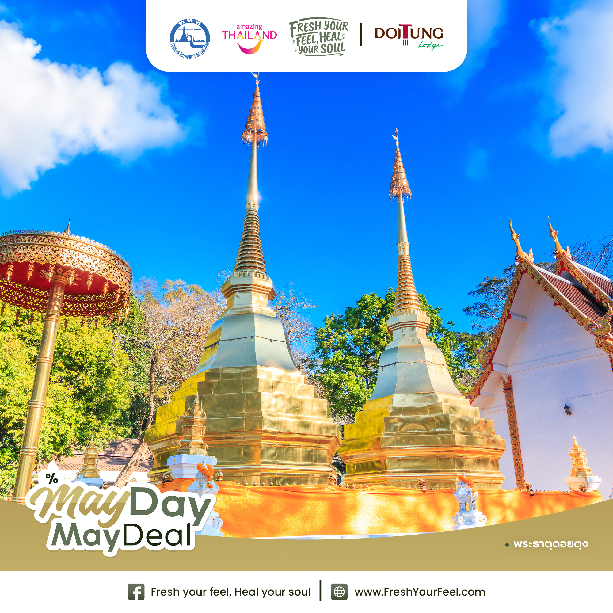 250429 fyfhys mayday post doitung lodge 01 0 0