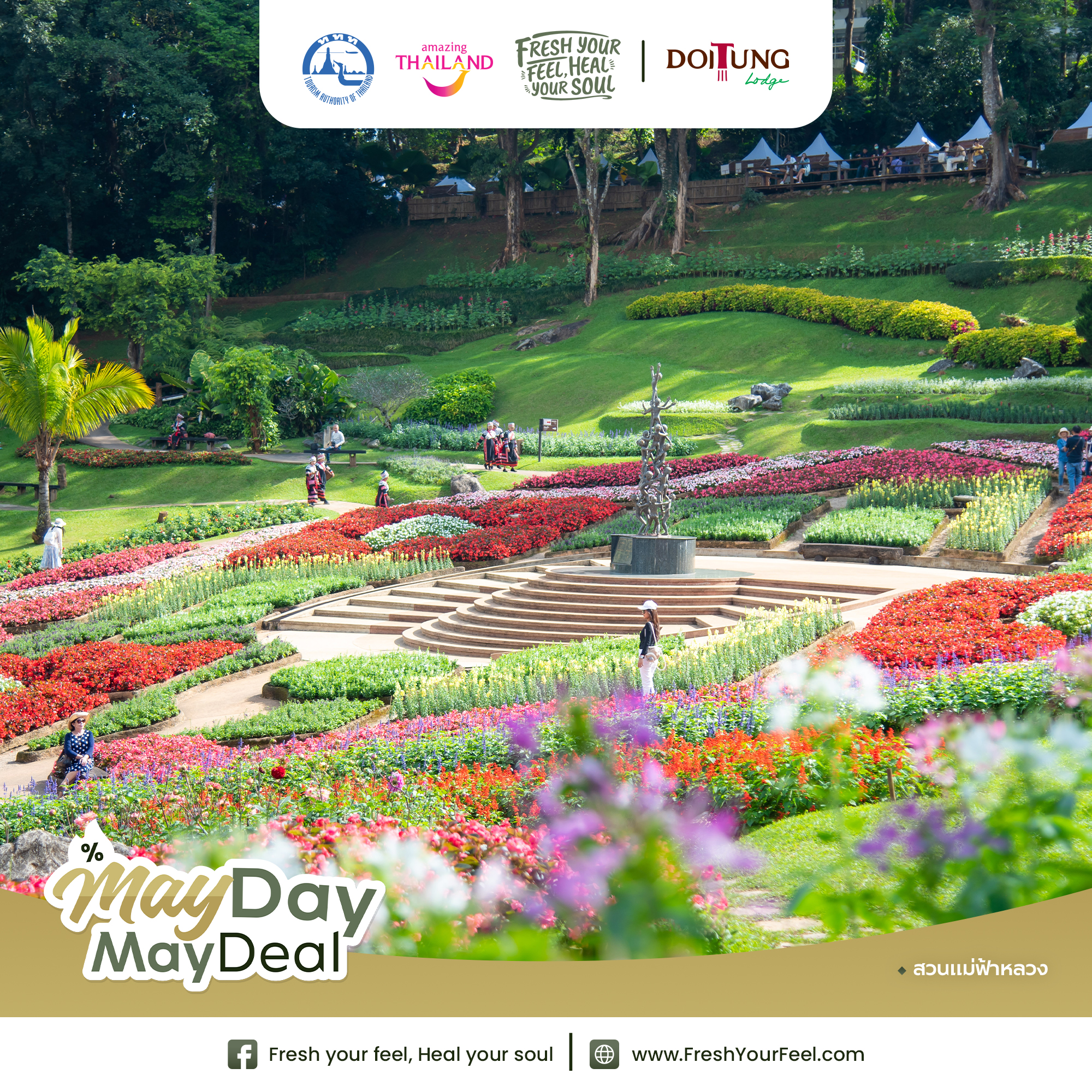 250429 fyfhys mayday post doitung lodge 05 0 0