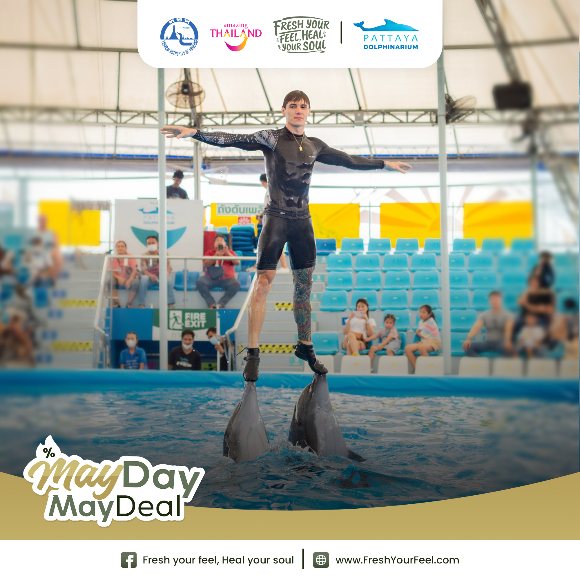 250506 fyfhys mayday post pattaya dolphinarium 03 0 0