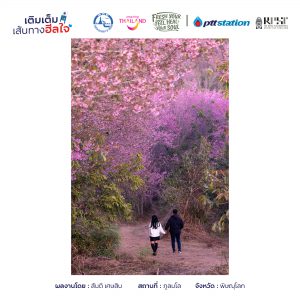 4พิษณุโลก freshyourfeel2025 29260 1746463011