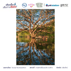 6เชียงใหม่ freshyourfeel2025 27653 1745829903