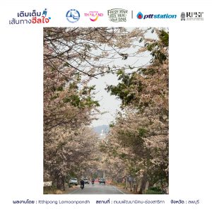 7ลพบุรี freshyourfeel2025 28005 1742916050