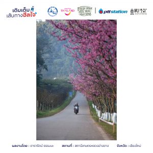 8เชียงใหม่ freshyourfeel2025 29149 1746372677