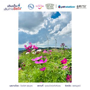 8เพชรบูรณ์ freshyourfeel2025 28590 1745120636