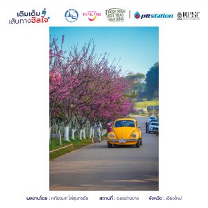 9เชียงใหม่ freshyourfeel2025 29152 1746375422